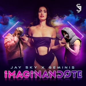 Imaginandote (feat. Gmini) - Single