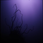 The Darkness (feat. Billie Eyelash) - Single