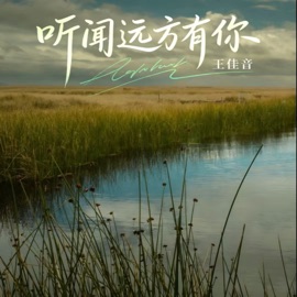 听闻远方有你 (思念合唱版) 王佳音 & 李发发
