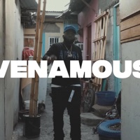 Venamous - Single - Bxshycb