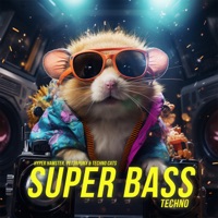 Super Bass - Single - Hyper Hamster, PET3RPUNX & Techno Cats