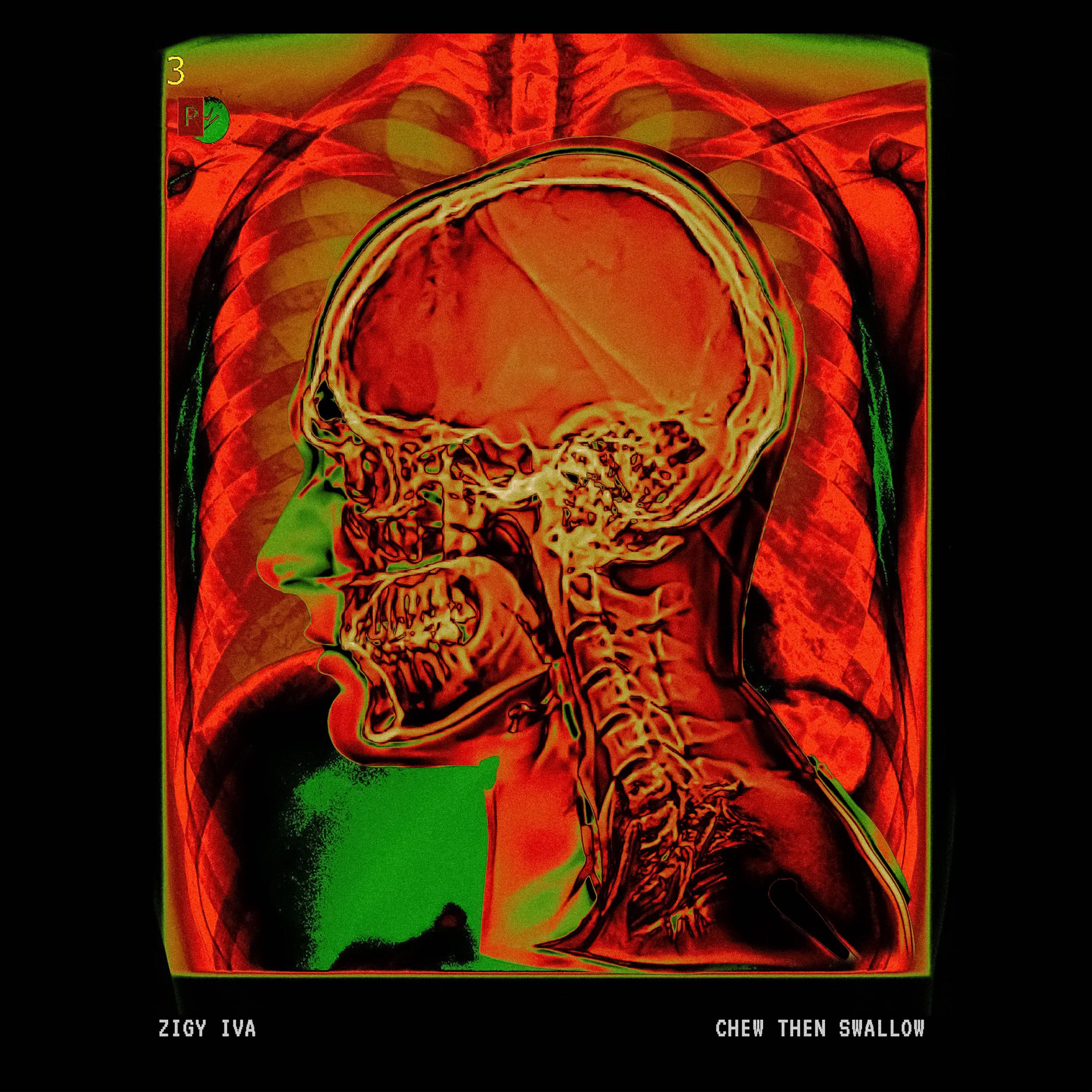 Chew Then Swallow - Single