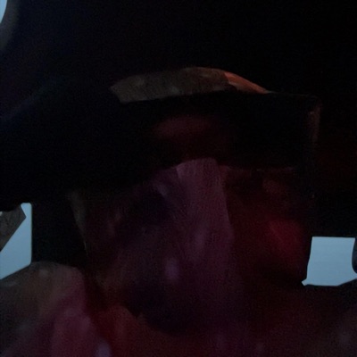 Placement Year - Single