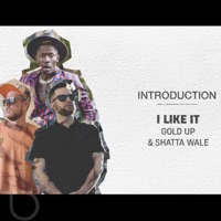 I Like It (feat. Gold Up) - Single - Shatta Wale