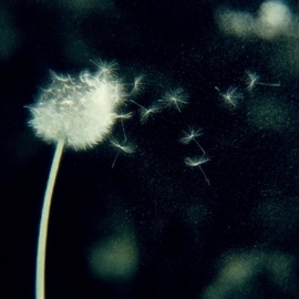 Memory Wipe (Remastered) Retro.spect