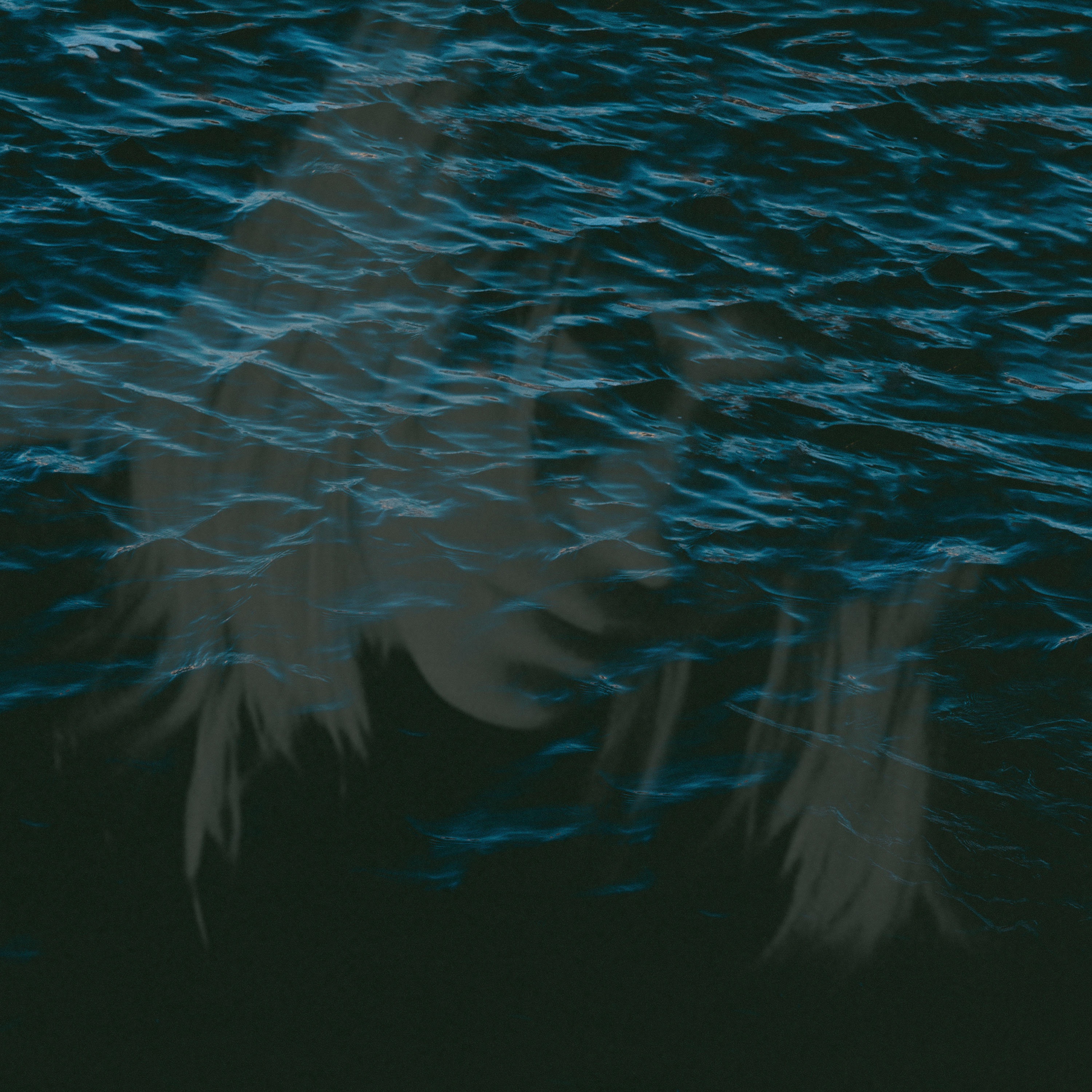 No Time To Forget - Single