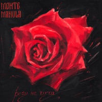 Розы на куски - Single - Monte&Manula