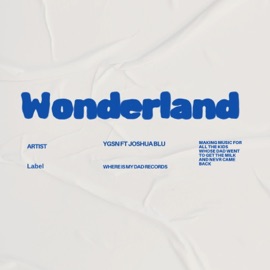 Wonderland (feat. Joshua Blu) Ygsn