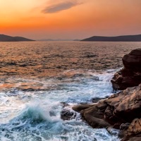 Море - Single - Alexander Demidov, Demidov & Любовь Малкина