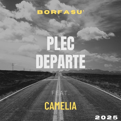 Plec Departe (feat. Camelia) - Single