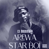 Arewa Star Boi - Single - El brandy