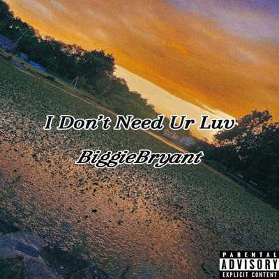 I Don’t Need Ur Luv - Single