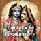 Tum Prem Ho Krishna Flute artwork
