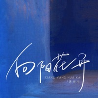向阳花开 - Single - 洛先生