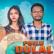 Puilu Dulal Single