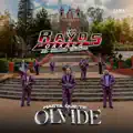 Hasta Que Te Olvide