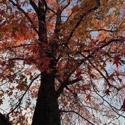 Is it December yet? - EP