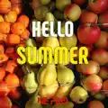 Hello Summer