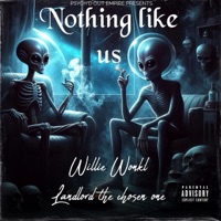 Nothing Like Us - Willie Wonk