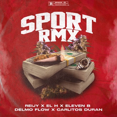 SPORT (feat. CARLITOS DURAN & Delmo) [Remix] - Single