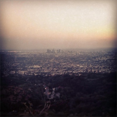 These Are the Words of an Idiot