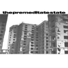 the premeditate state - Single