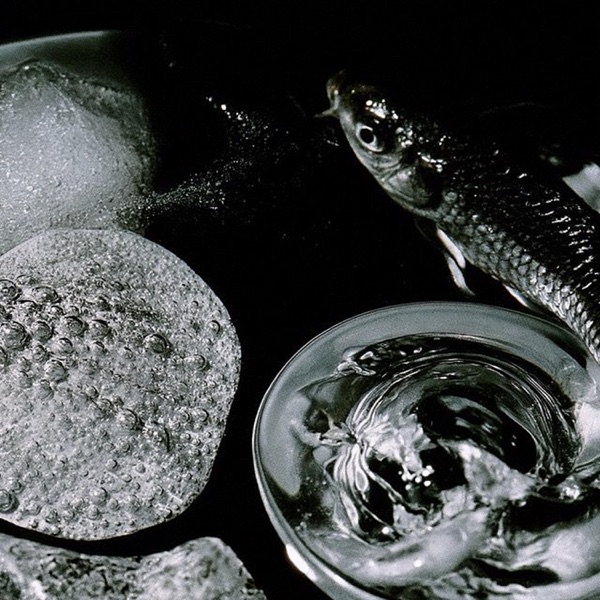 ICE BATH (RENEWED)