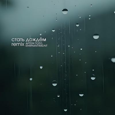 Стать дождём (Ehrmantraunt Remix) - Single