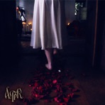 Sleep - Single