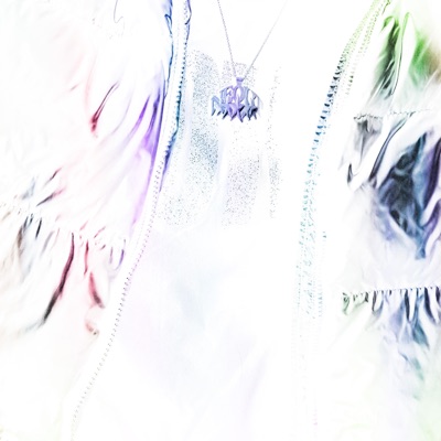 FLOWERZ (RECKLESSBOISE REMIX) - Single