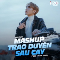 Mashup Trao Duyên Sầu Cay (Remix) - Single - NB3 Hoài Bảo & H2O Remix