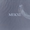 One More Year - Mekxl lyrics