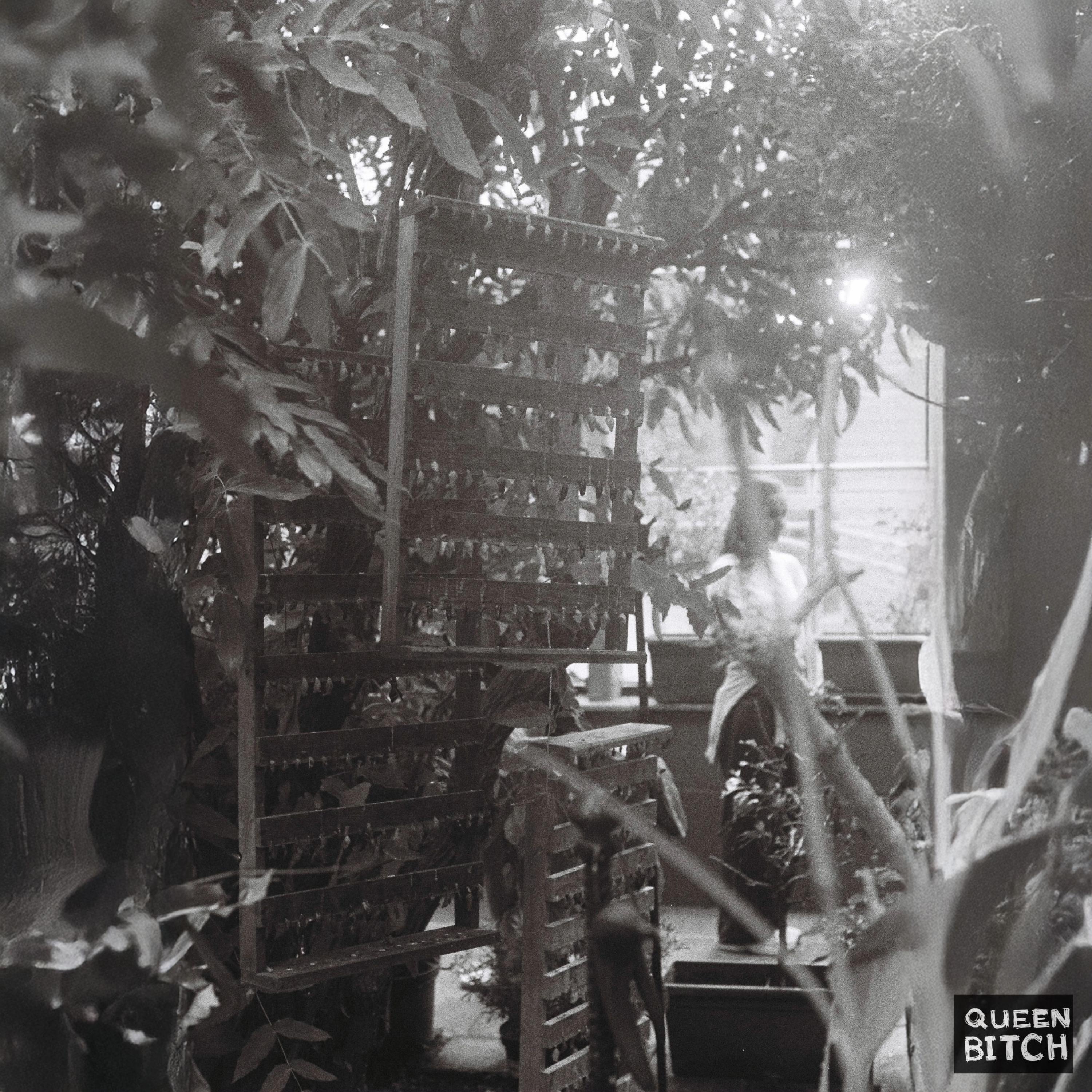 Even if I Pray - Single