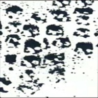 Κοπρολάγνοι (feat. aeon) - Single - χωρίς κανόνα