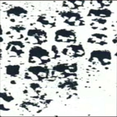 Κοπρολάγνοι (feat. aeon) - Single