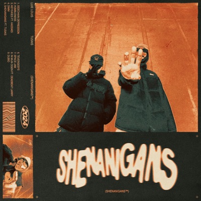 Shenanigans