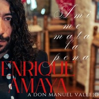 A MI ME MATA LA PENA (feat. Miyuki Shimada & Ruben Campos) - Single - Enrique Amaya