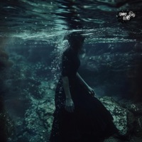 WHERE THE WATERS CLEAR - Single - Tommy $ins