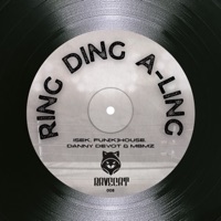Ring Ding A-Ling - Single - ISEK, Fun[k]House, Danny Devot & MBMZ