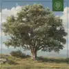 Leavv, Makzo & Beats for Trees - Sycamore