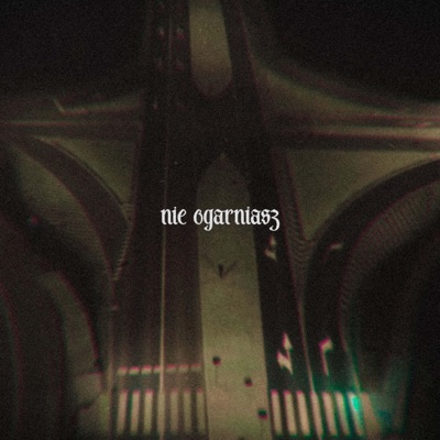 NIE OGARNIASZ - Single