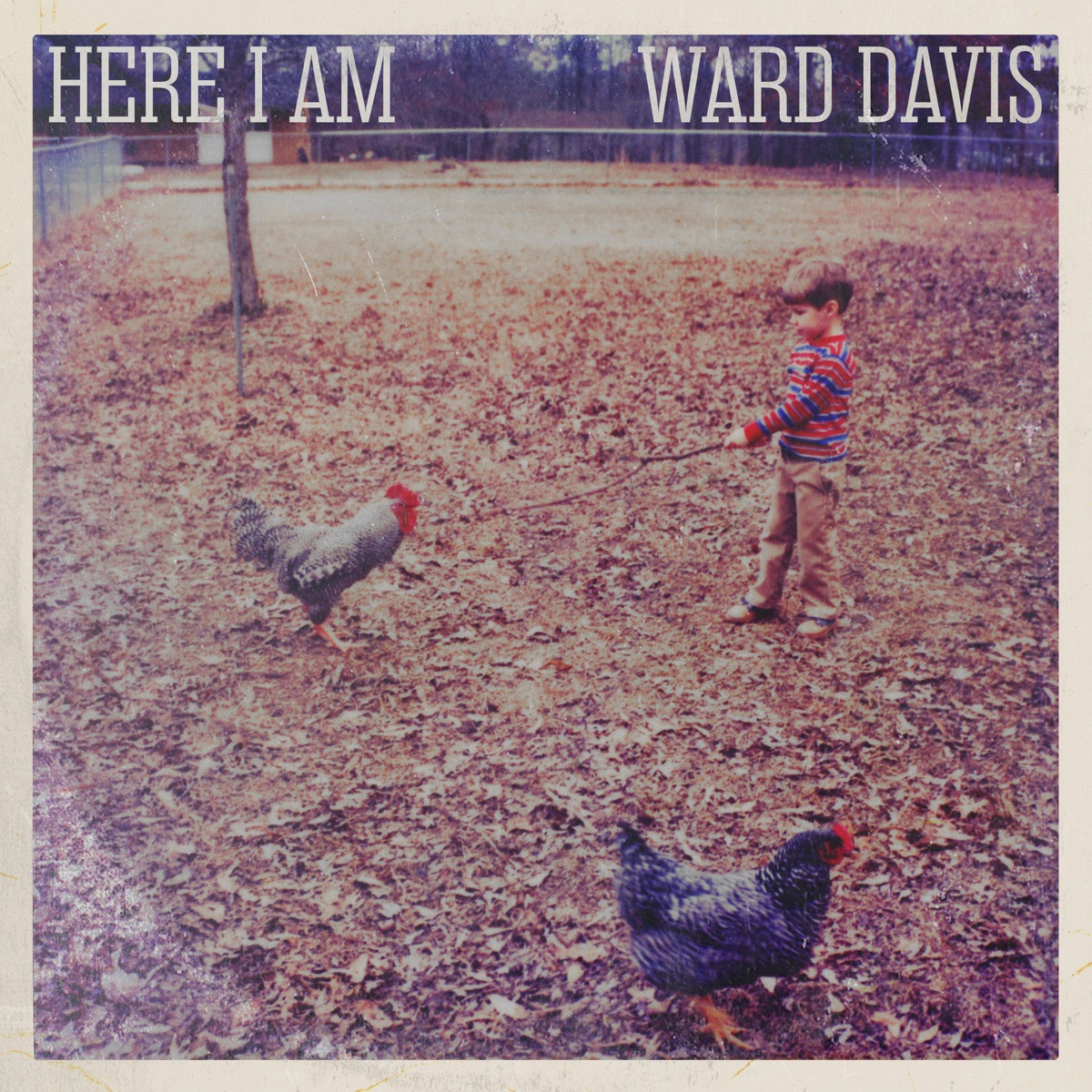 Ward Davis - Here I Am (2026) [iTunes Plus AAC M4A]-新房子