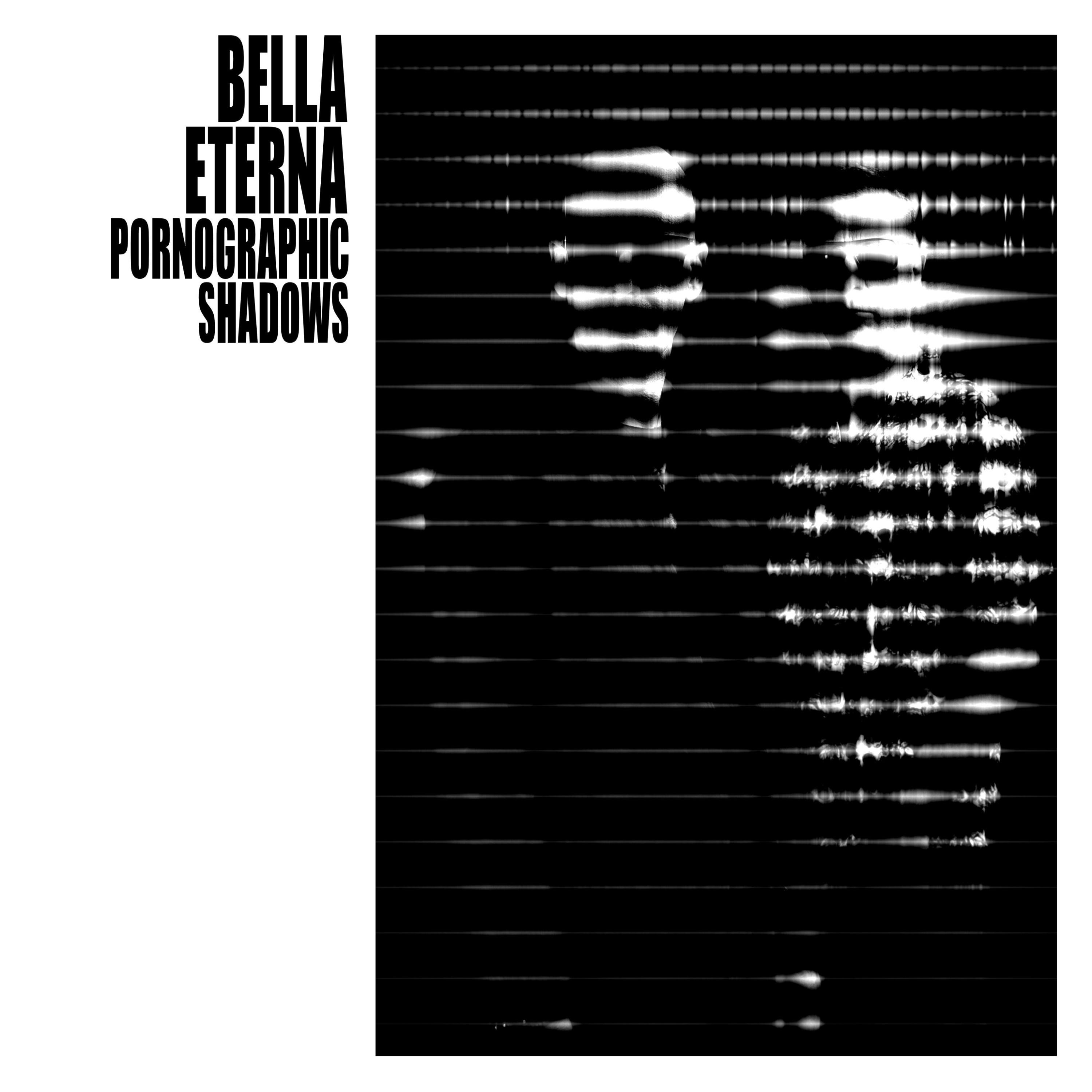 PORNOGRAPHIC SHADOWS