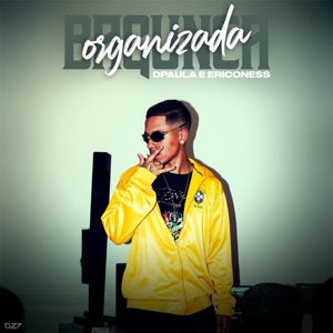 Bagunça Organizada