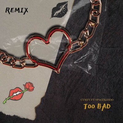 TOO BAD (Remix) [feat. SpaceKiddo] - Single