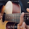 Señorita - Single