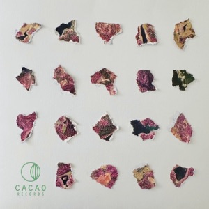 Changu - Single