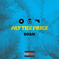 Pay the price - Single - Roam