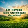 Iarba verde de acasa