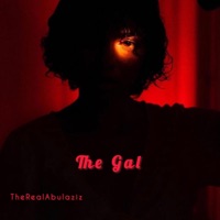 The Gal (feat. vIDo Productions) - Single - TheRealAbdulaziz